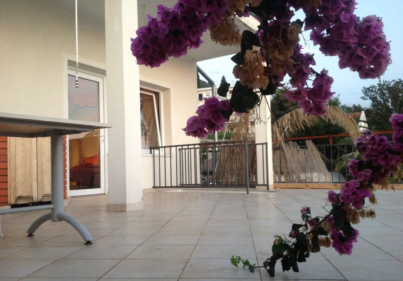 House · Kruce