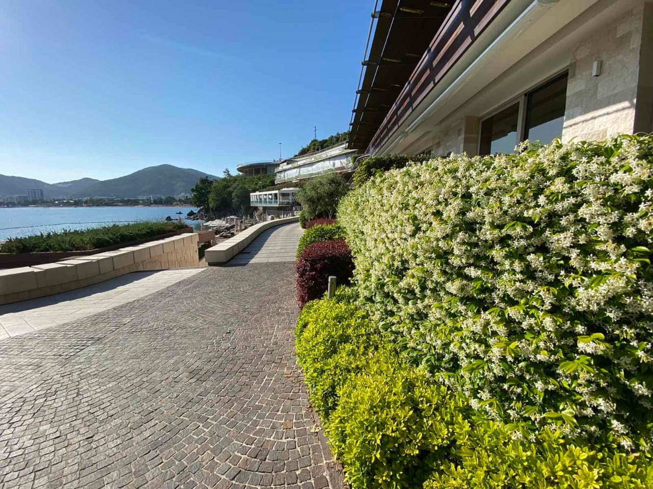 Huoneisto · Budva