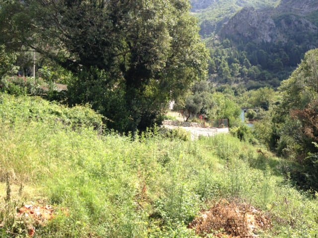 Land · Risan