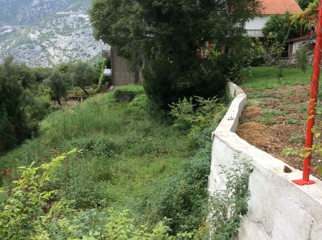 Land · Risan