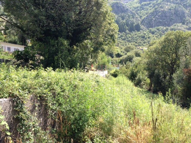 Land · Risan