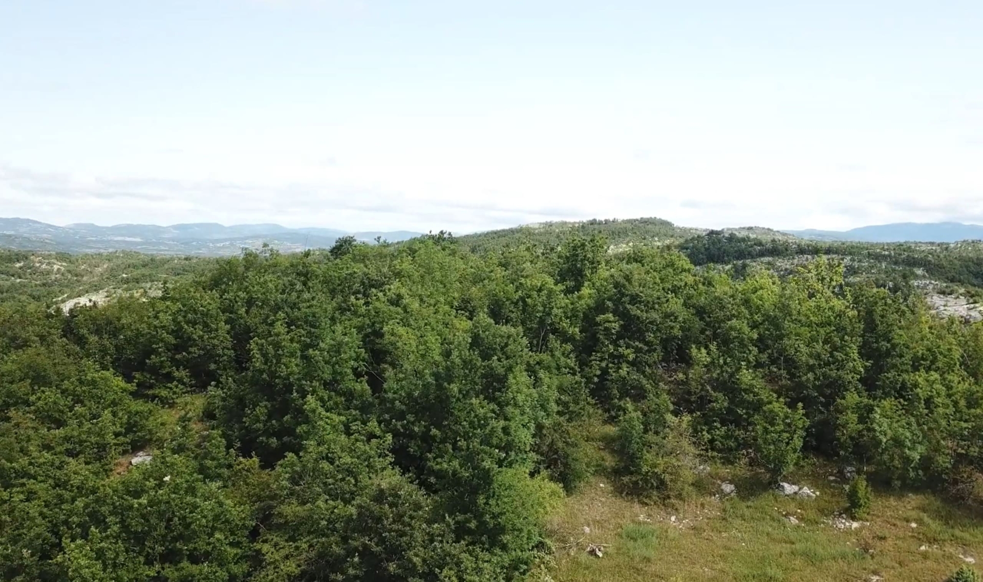 MREproperty (17) 34. MREproperty (18) Karadağ-Vilusi'de satılık arsa — Karadağ