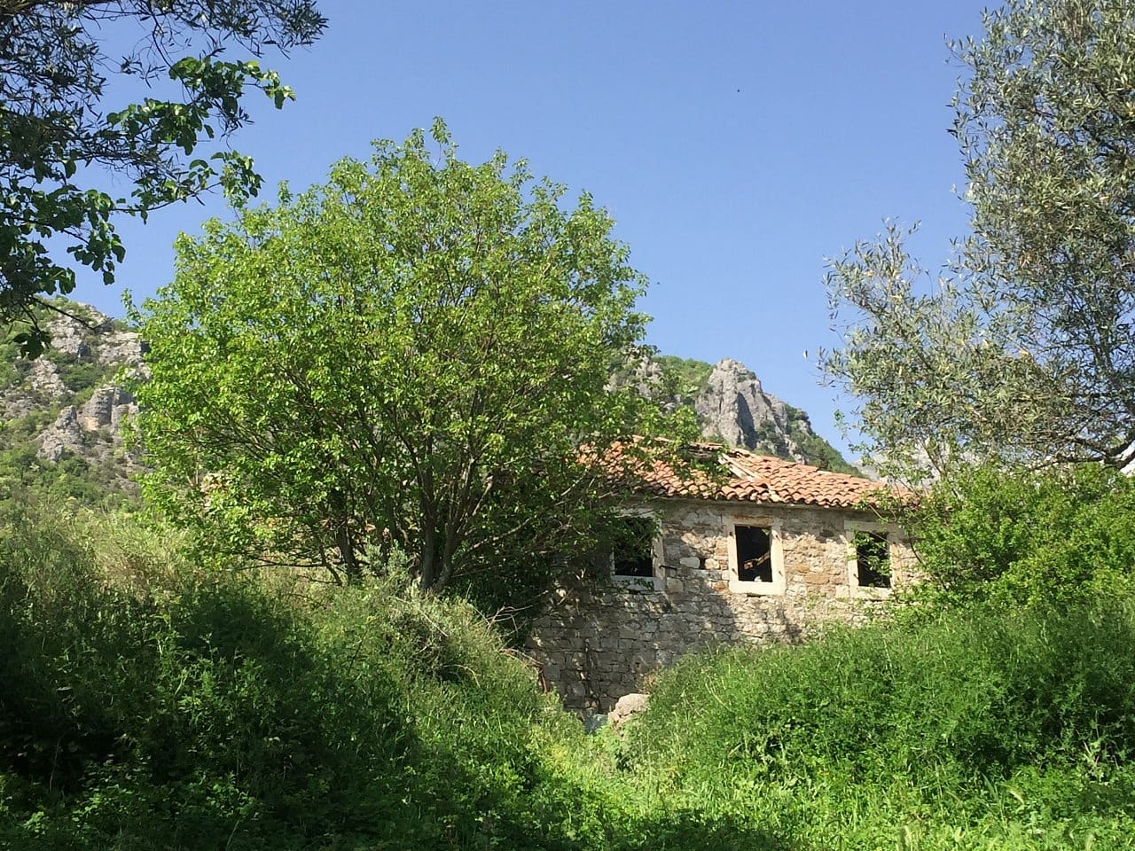Tontti · Podi