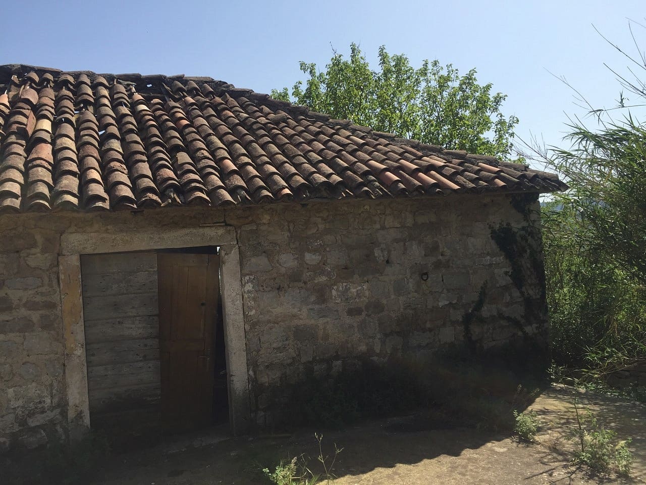 Tontti · Podi