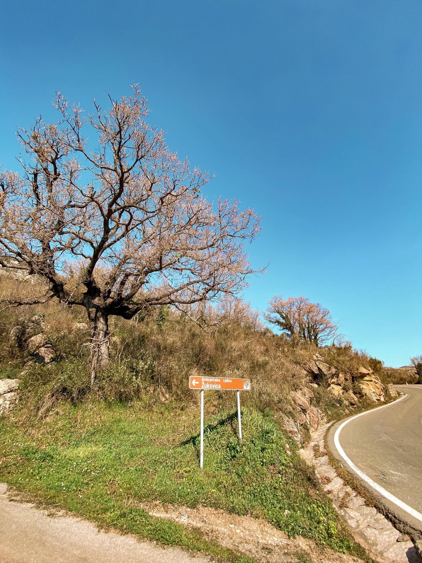 Tontti · Petrovac