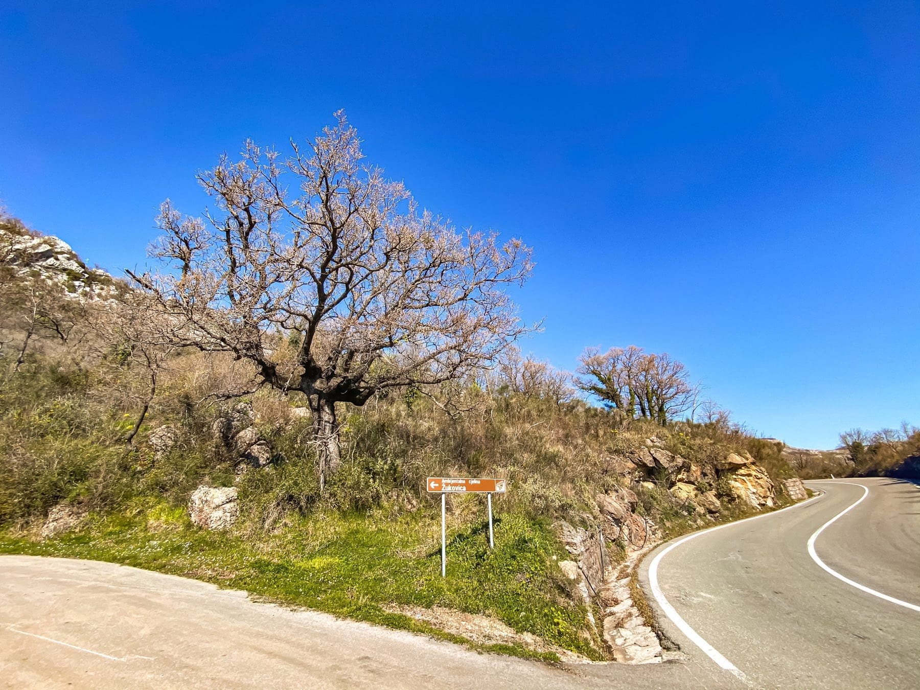 Tontti · Petrovac