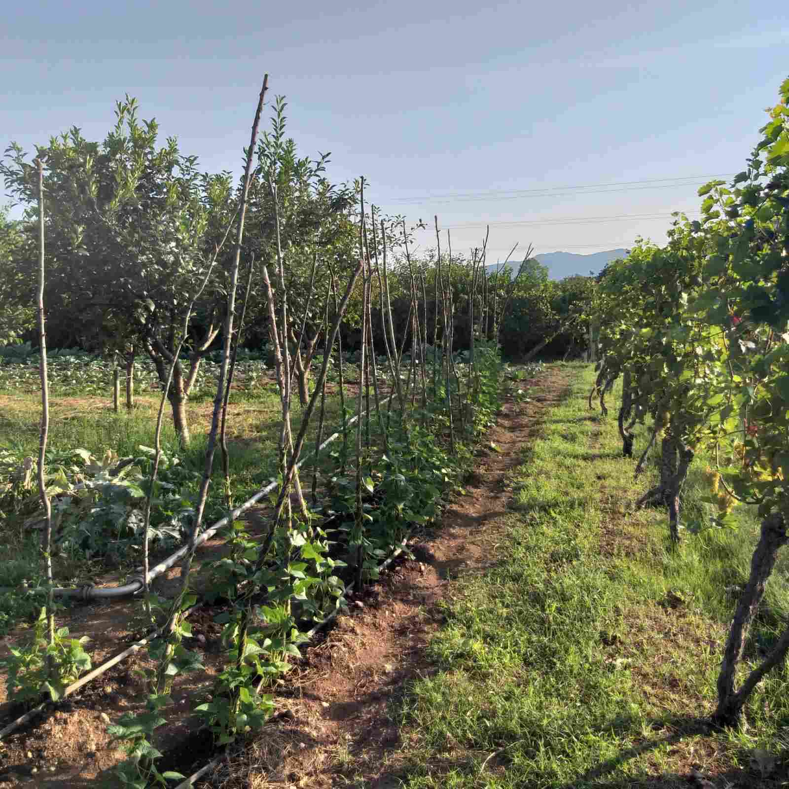 MREproperty (13) Dom na sprzedaż w Danilovgradzie — Czarnogóra