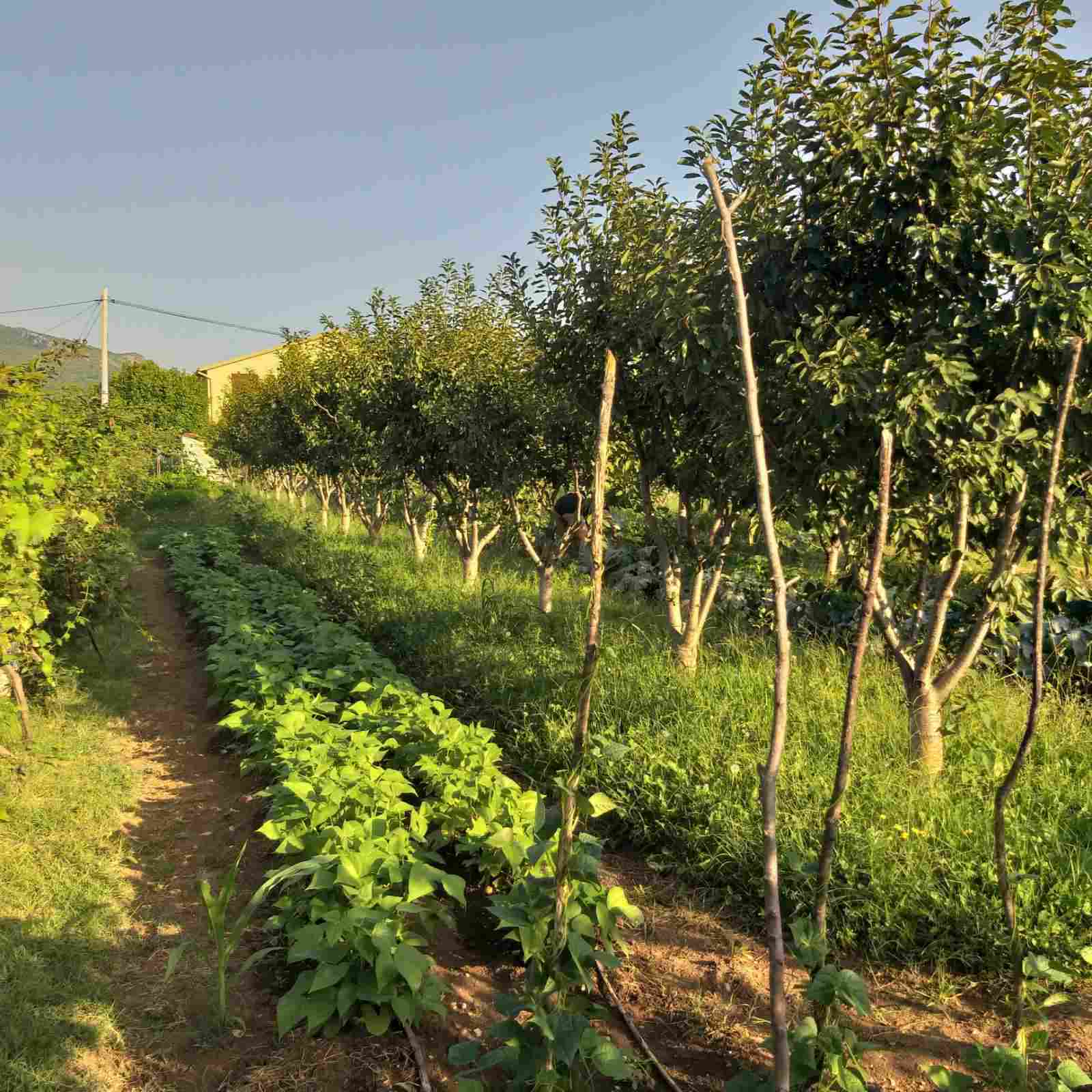 MREproperty (8) Dom na sprzedaż w Danilovgradzie — Czarnogóra