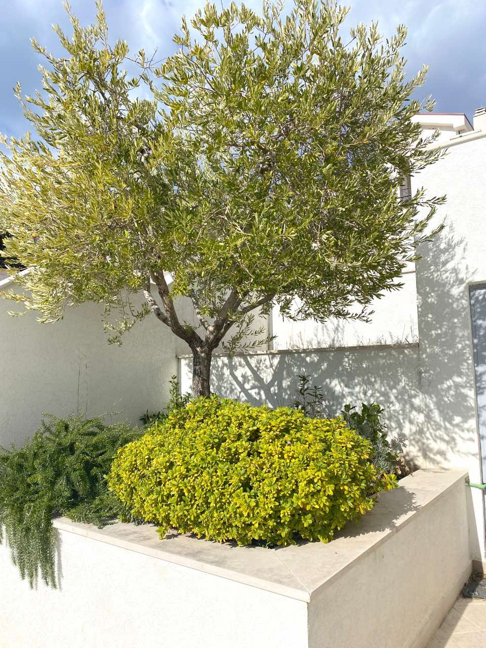 Huvila · Blizikuce