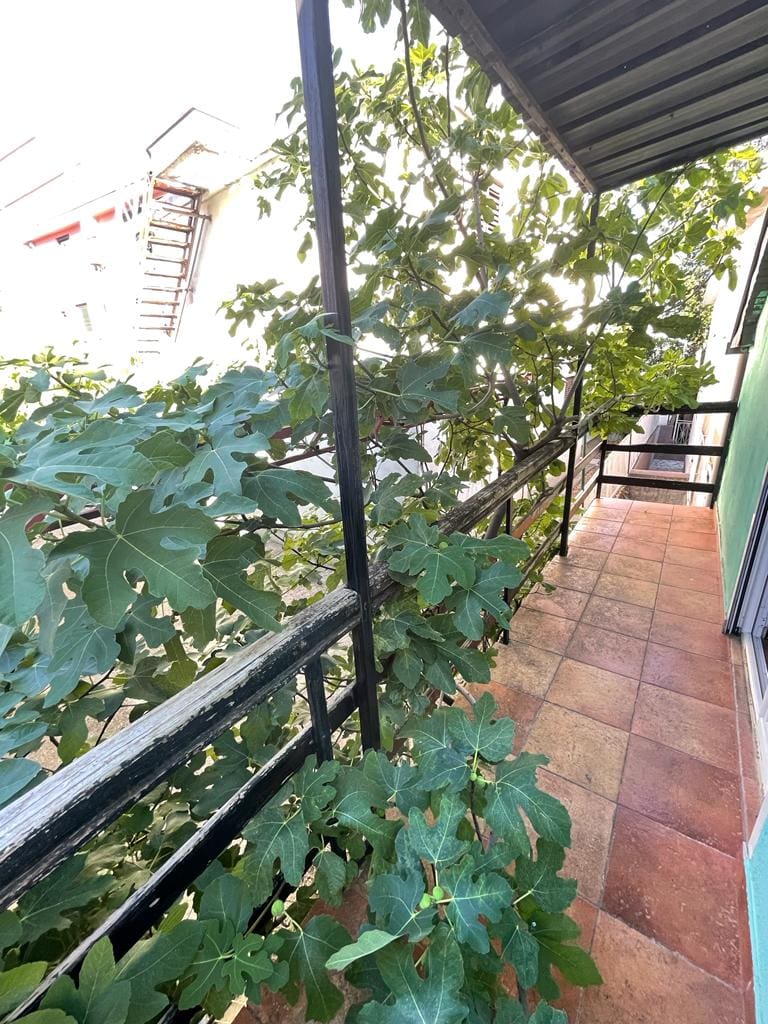 MREproperty (15) Kuća na prodaju u Sutomoru — Crna Gora