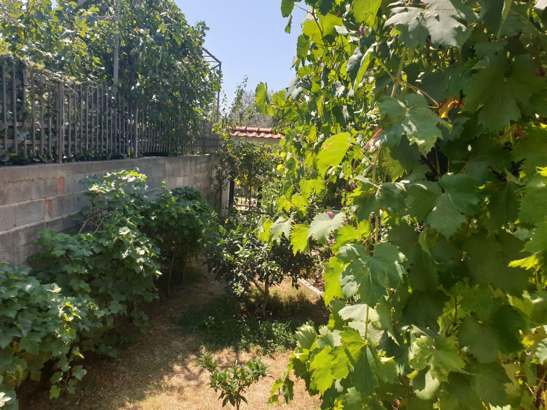 House · Sutomore