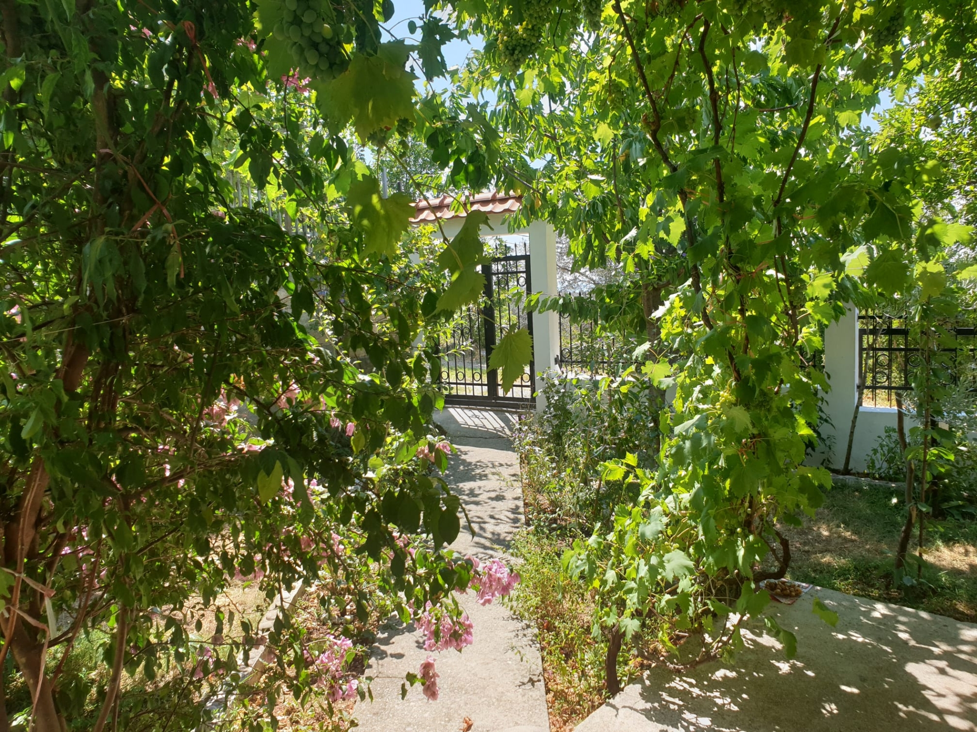 House · Sutomore