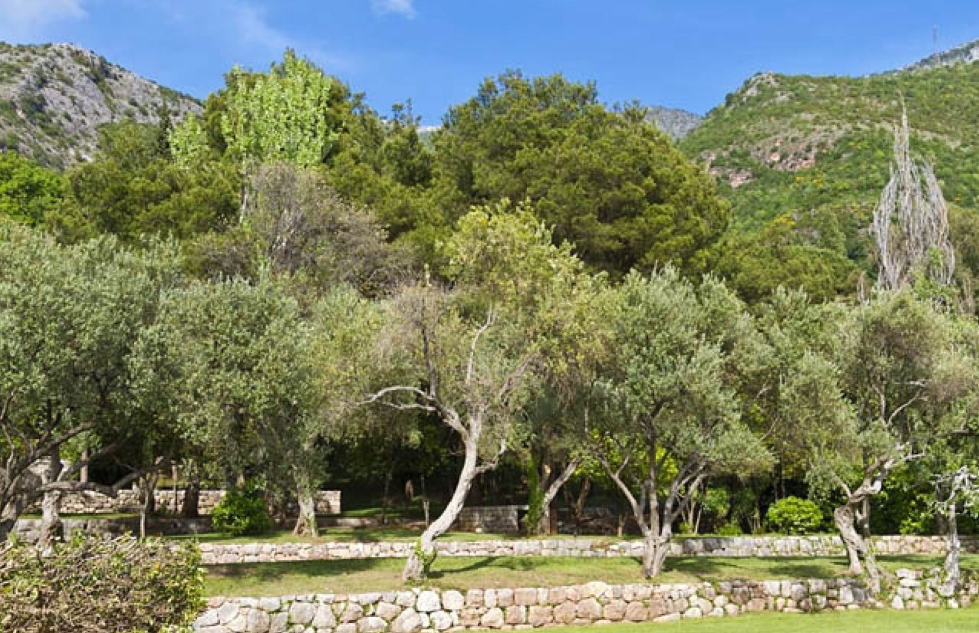 Apartment · Becici