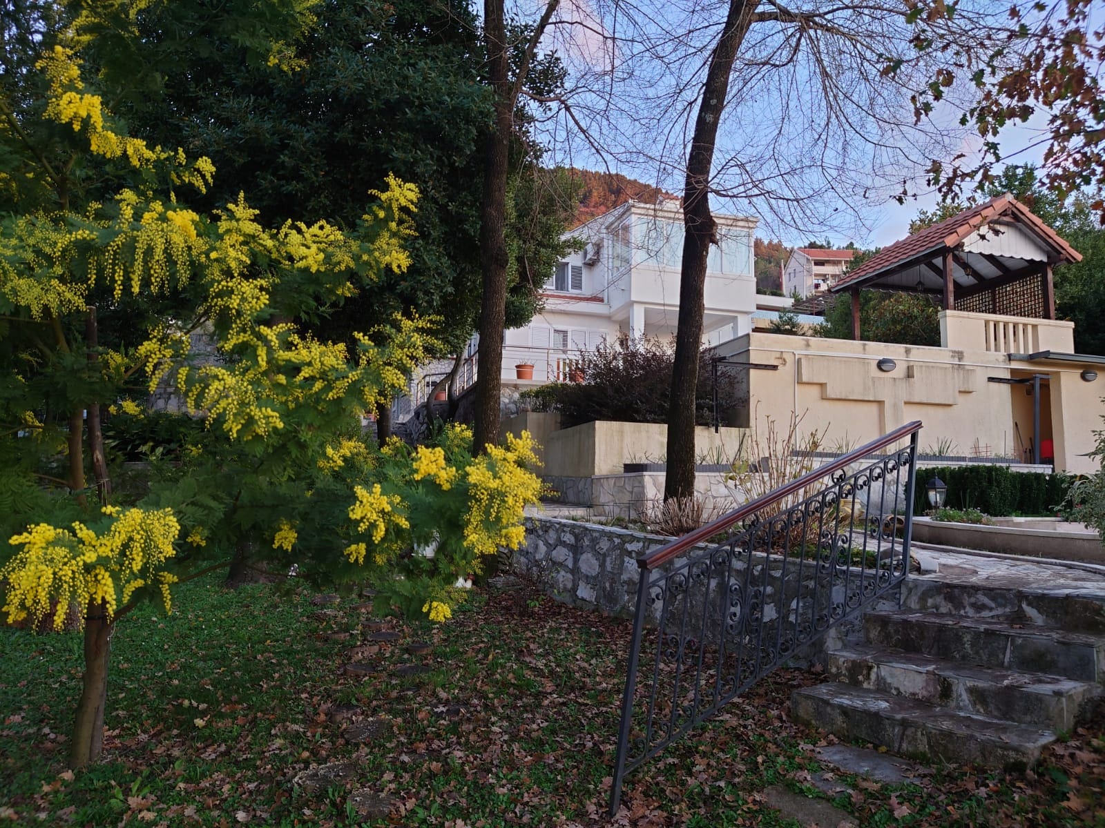 Huvila · Kotor
