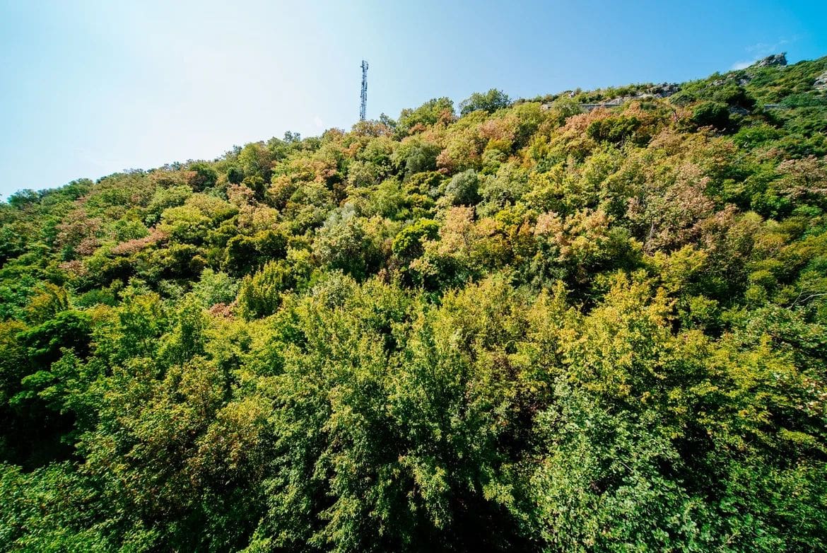 MREproperty (26) Budva-Bečići'de Manzaralı Lüks Penthouse — Karadağ
