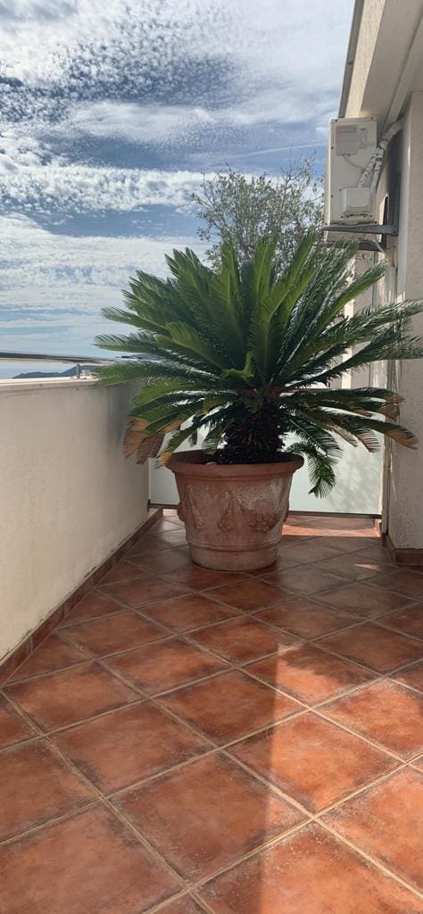 MREproperty (29) Gelegenheit, ein profitables Hotel in Becici zu kaufen — Montenegro