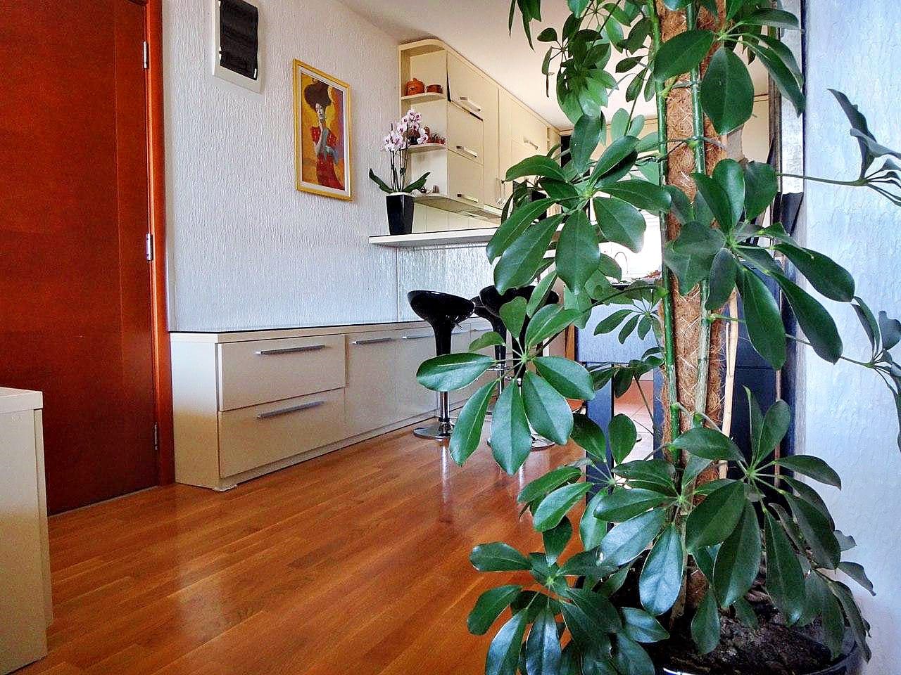 Apartment · Budva