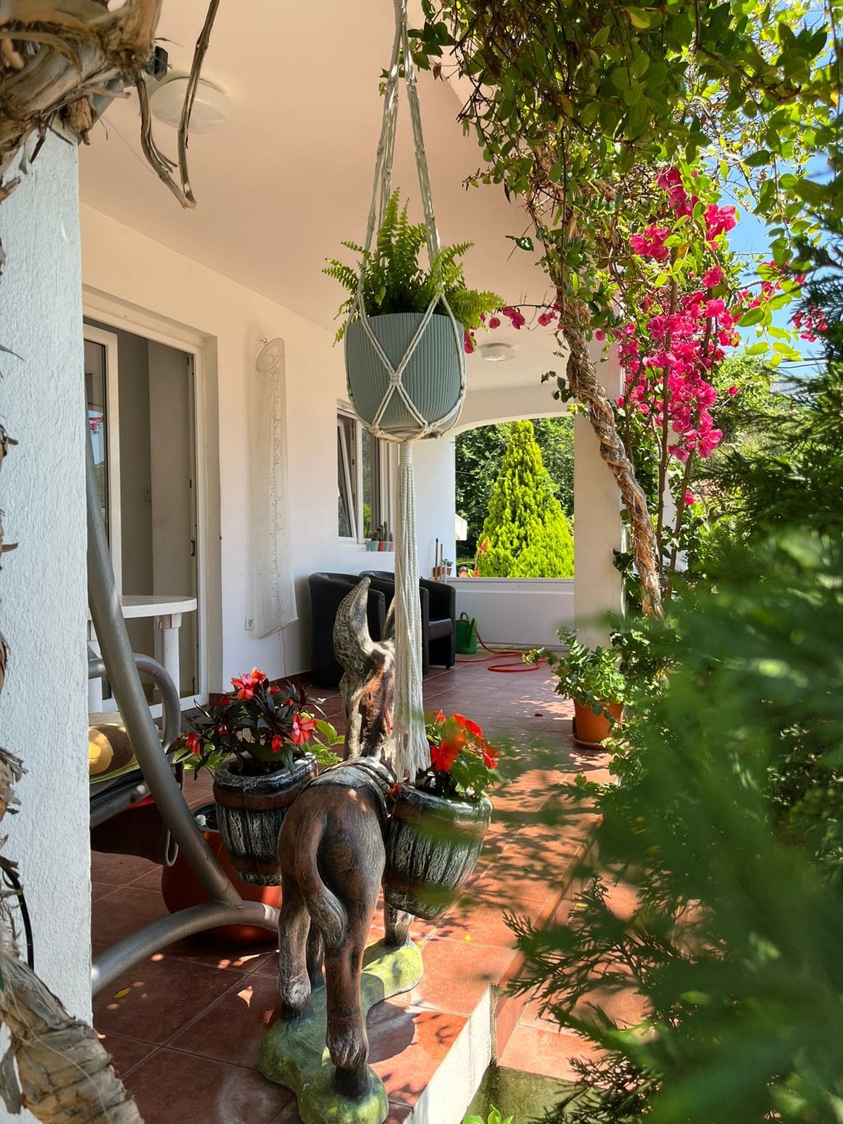 House · Budva