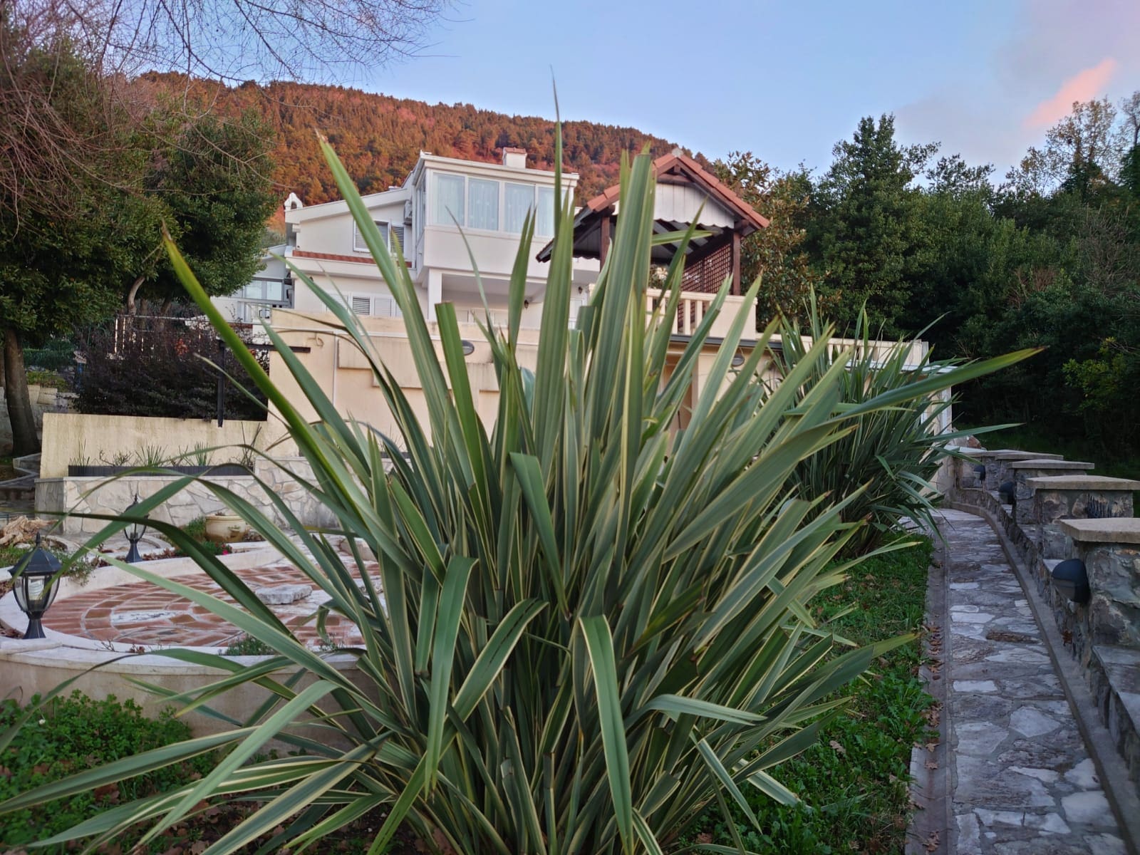 Huvila · Kotor