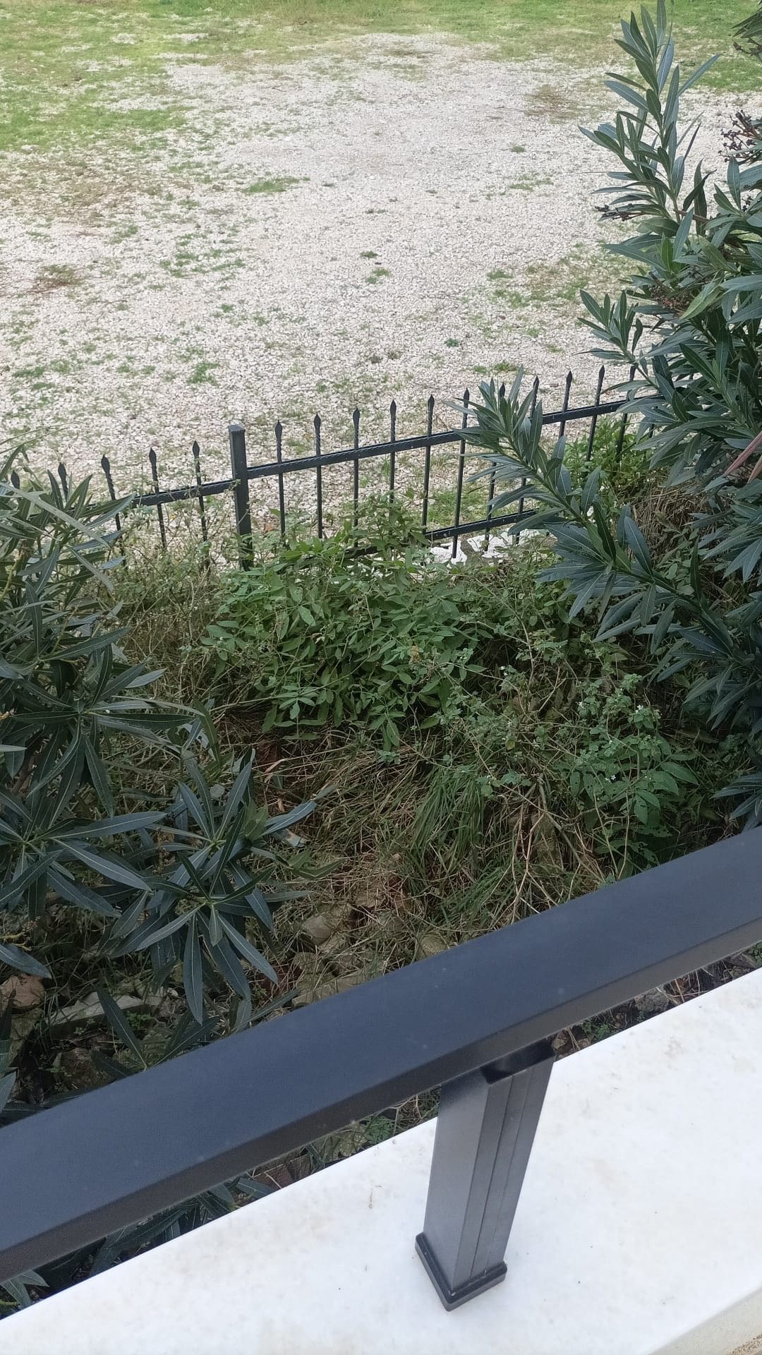 MREproperty (23) Raj na plaži vas čeka u Dobroj Vodi — Crna Gora