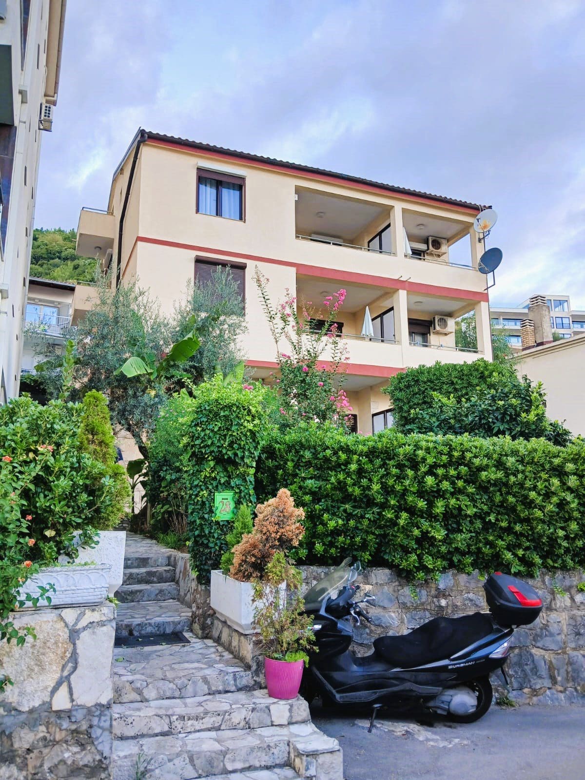 Talo · Budva