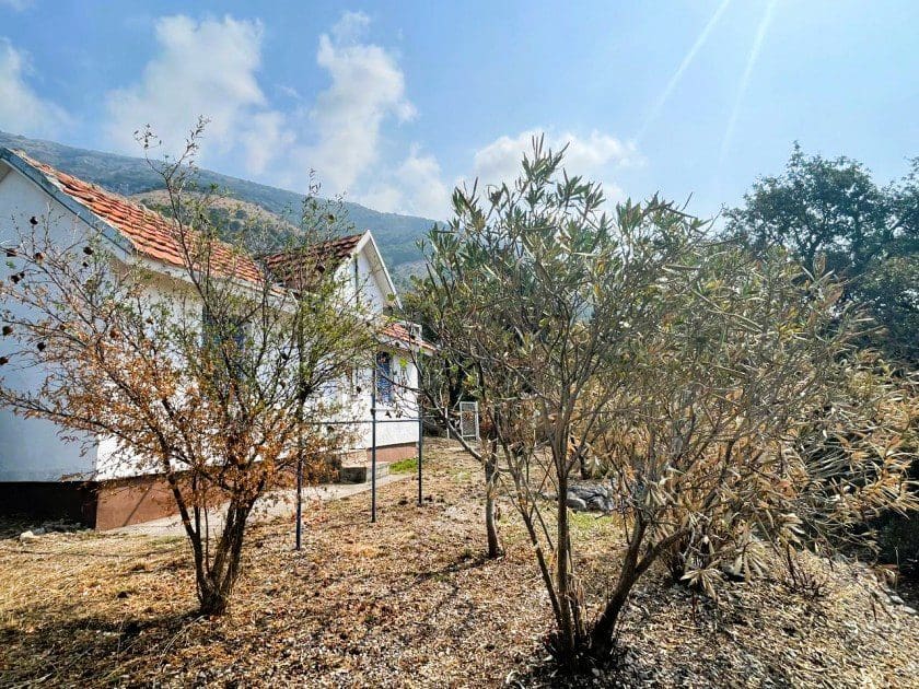 House · Sutomore