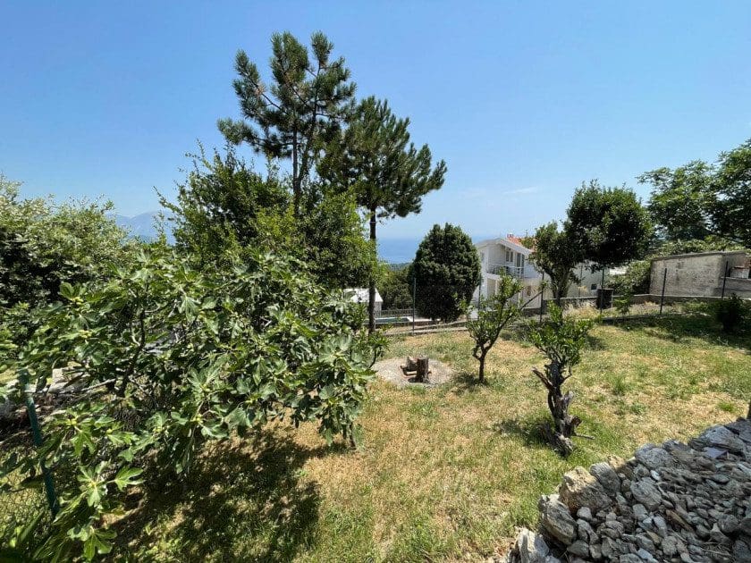 House · Sutomore