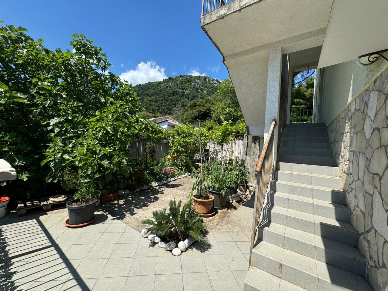 House · Budva
