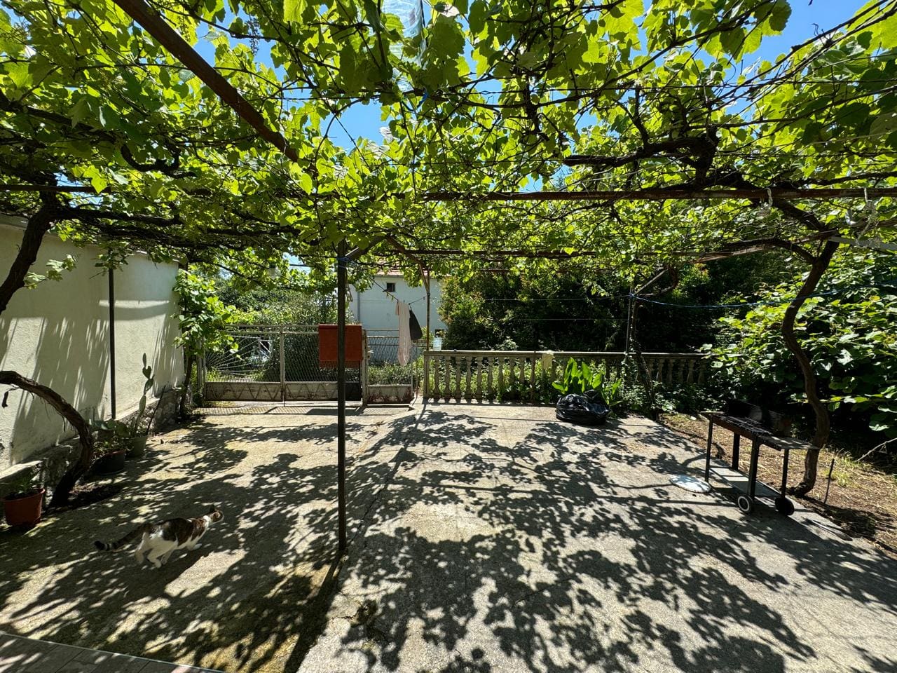 House · Budva