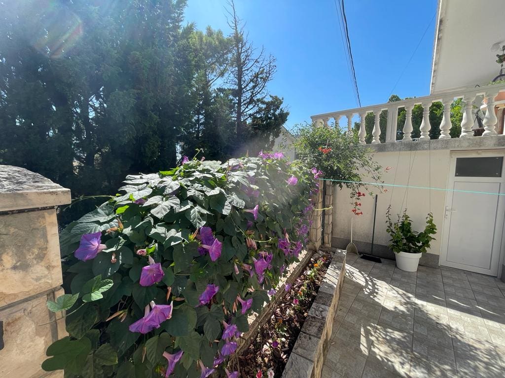 House · Sutomore