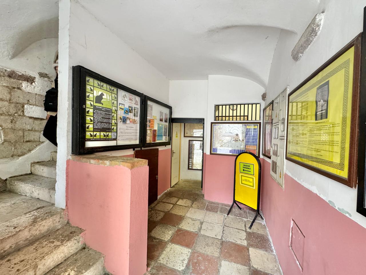 Apartment · Kotor