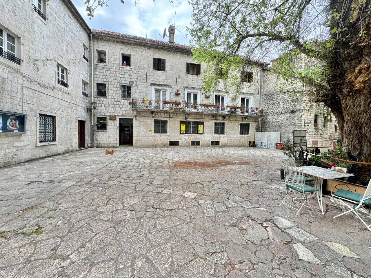 Apartment · Kotor