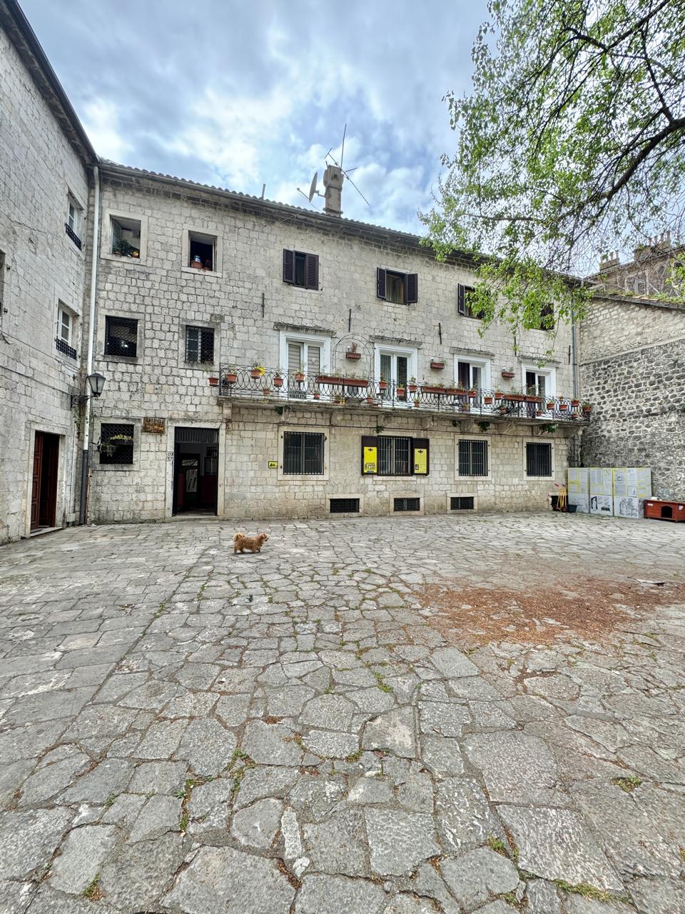 Apartment · Kotor