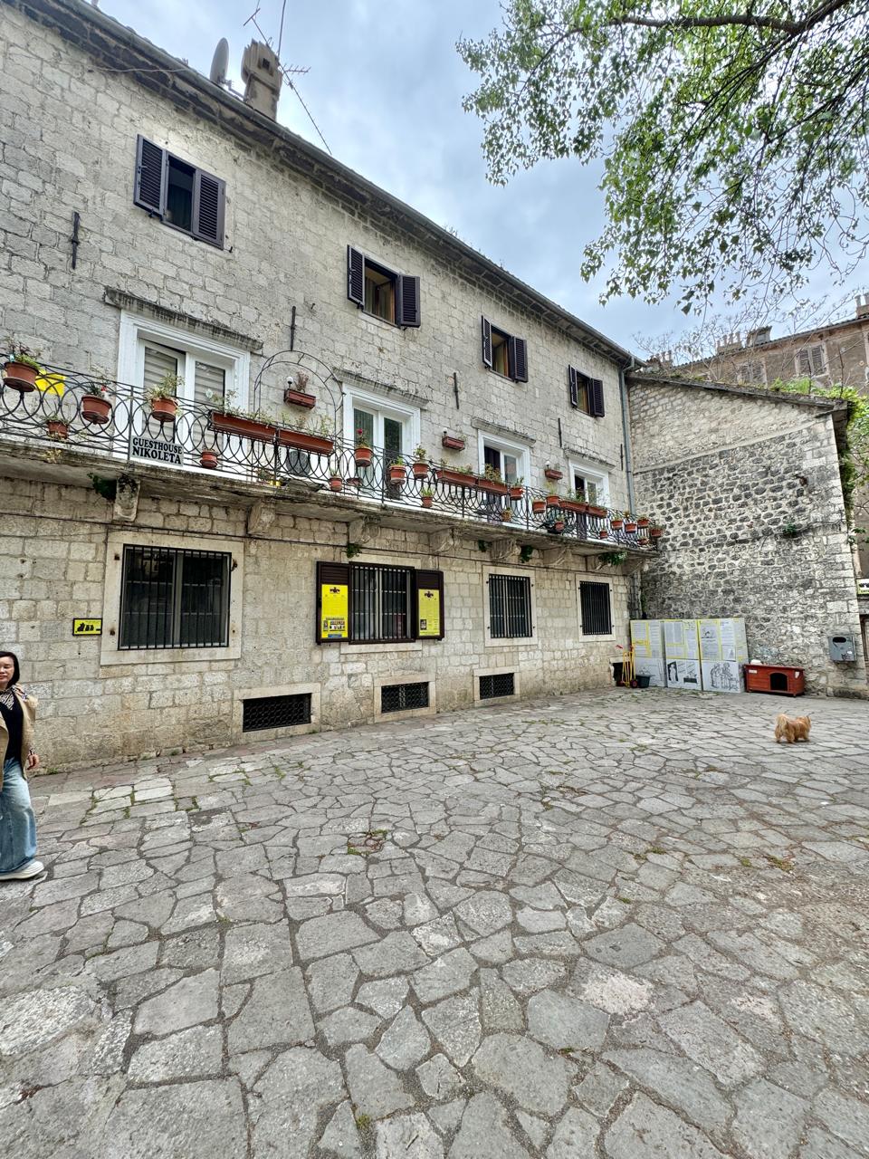 Apartment · Kotor